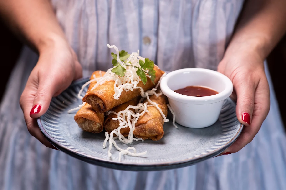 Duck Spring Rolls