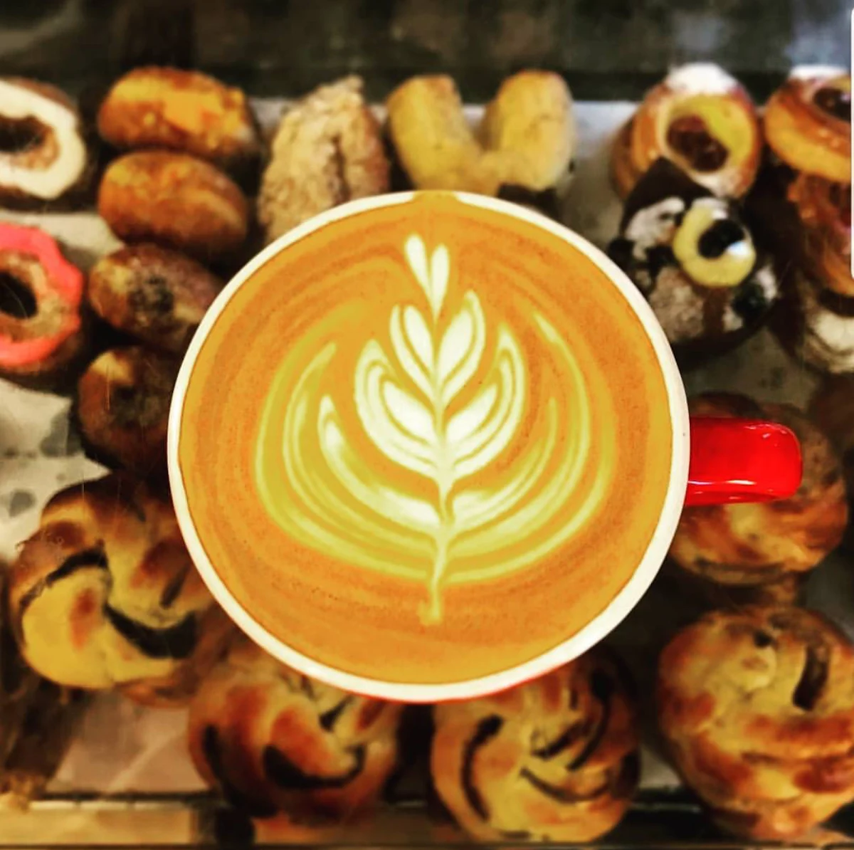 Highlights, Zane Coffee The Little Tuckshop