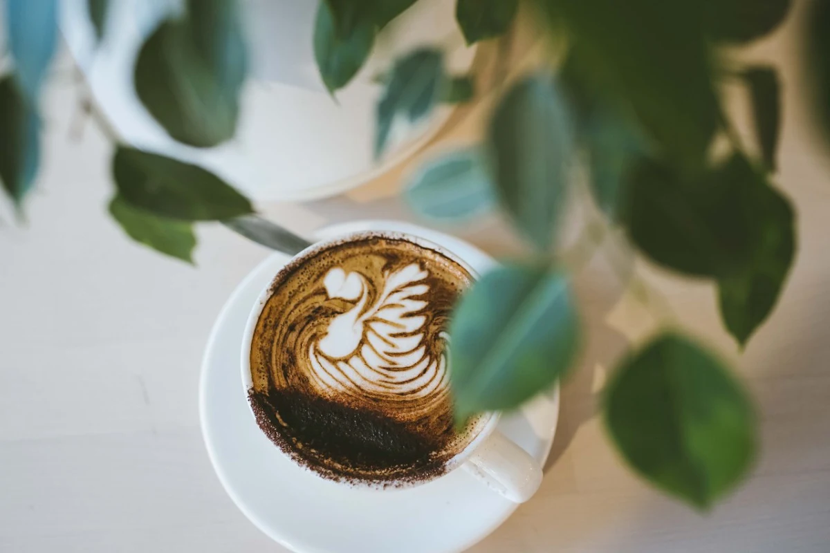 Mocha, Rise Mofo