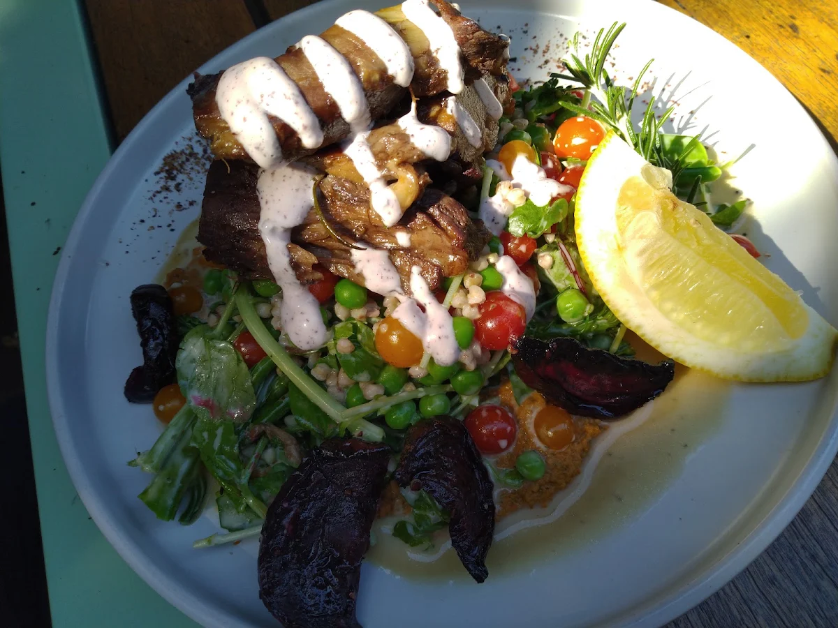 Lamb Plate, 63 Degrees