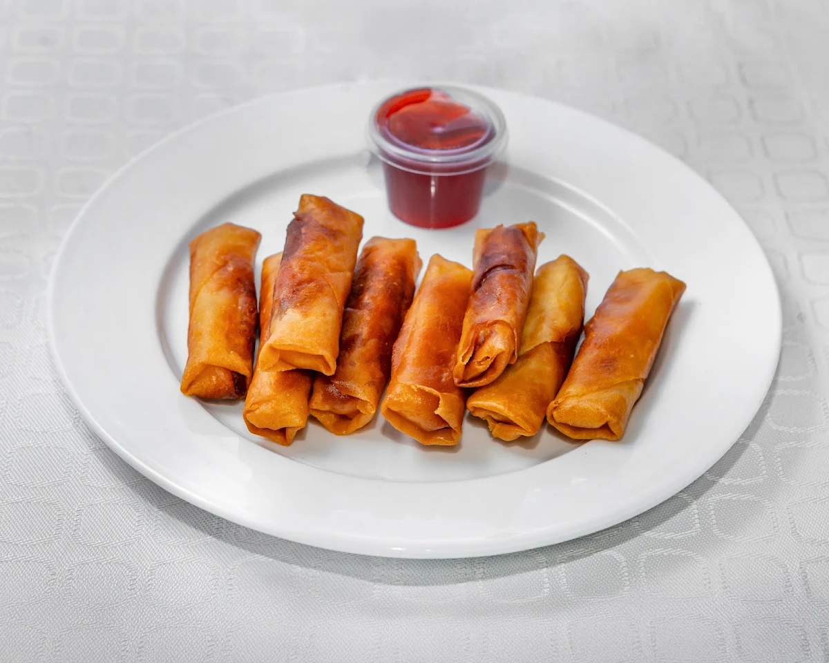 Mini Vegetarian Spring Rolls 8