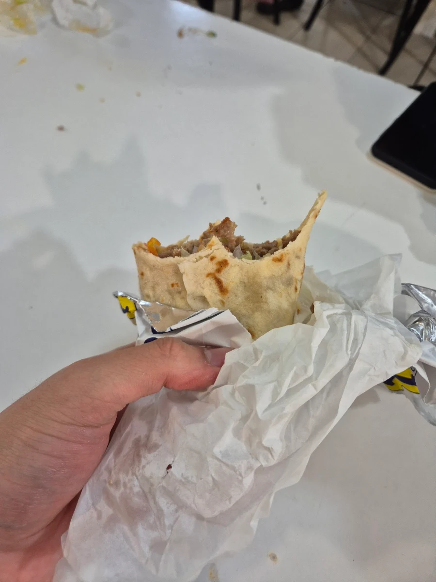 Highlights, Sydney City Kebabs