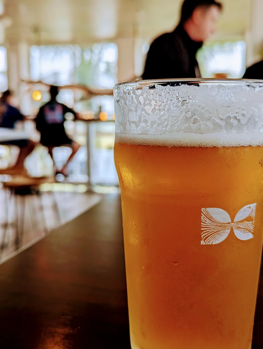 IPA, Straddie Brewing Co