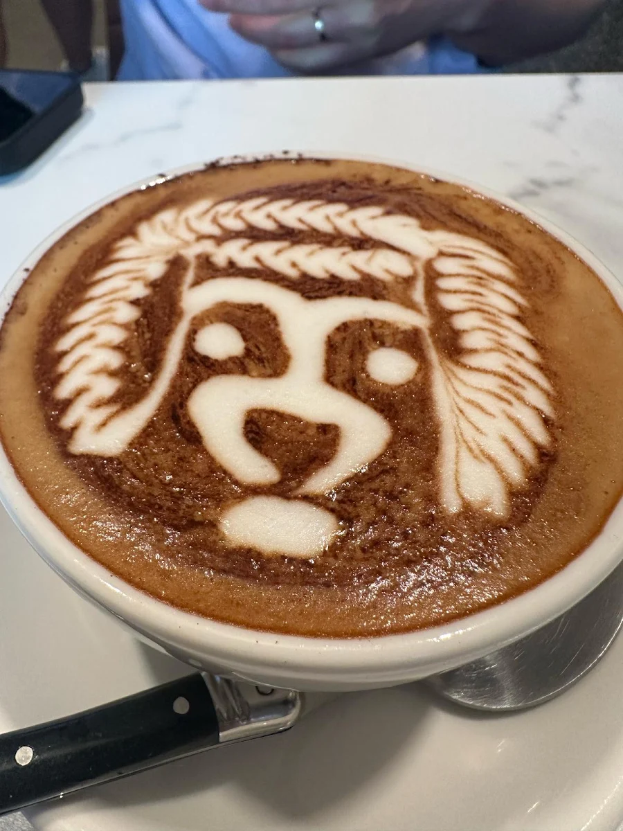 Highlights, The Dining & Co Bondi Junction
