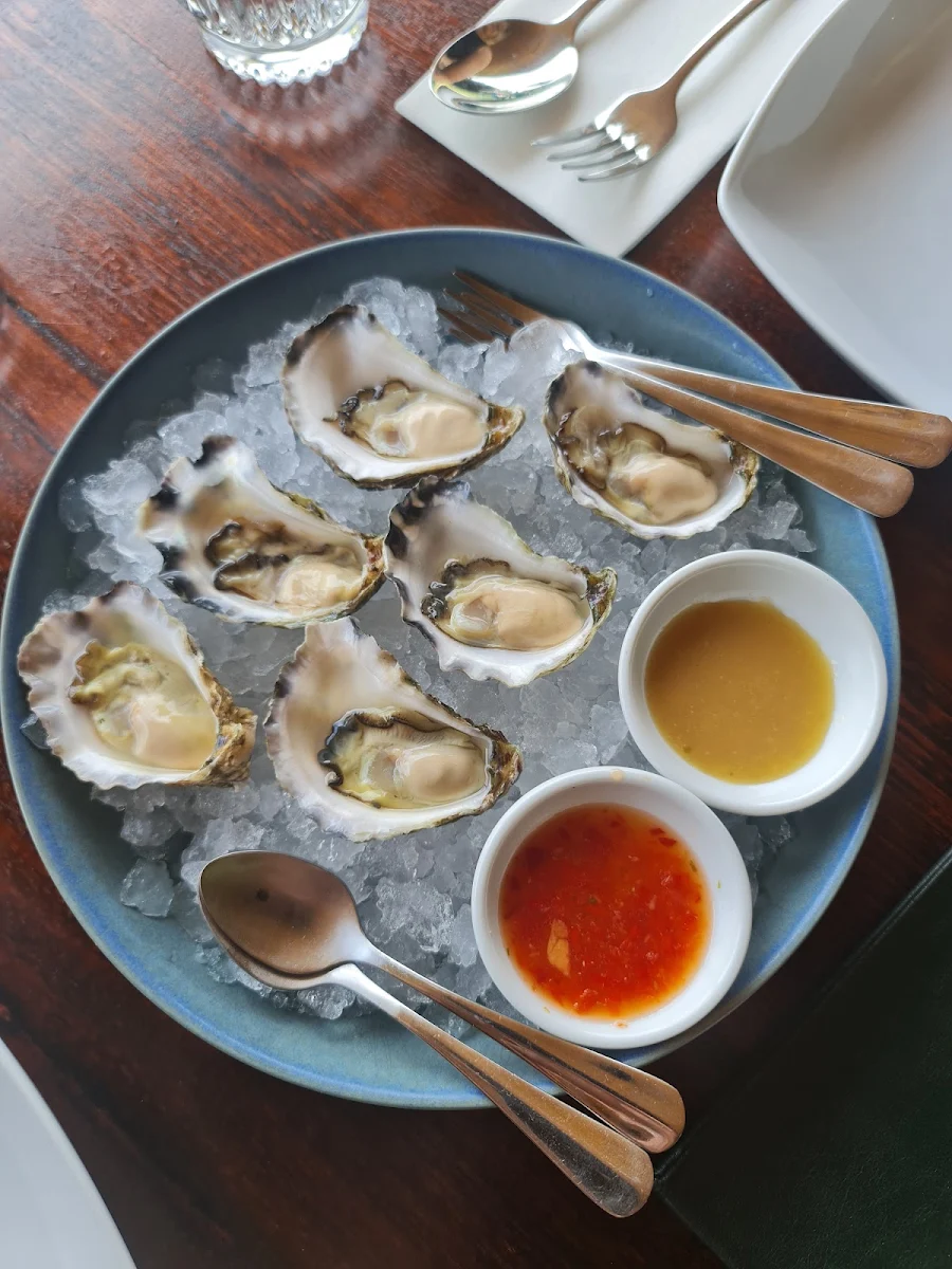 Oysters, Sugarlane Lane Cove