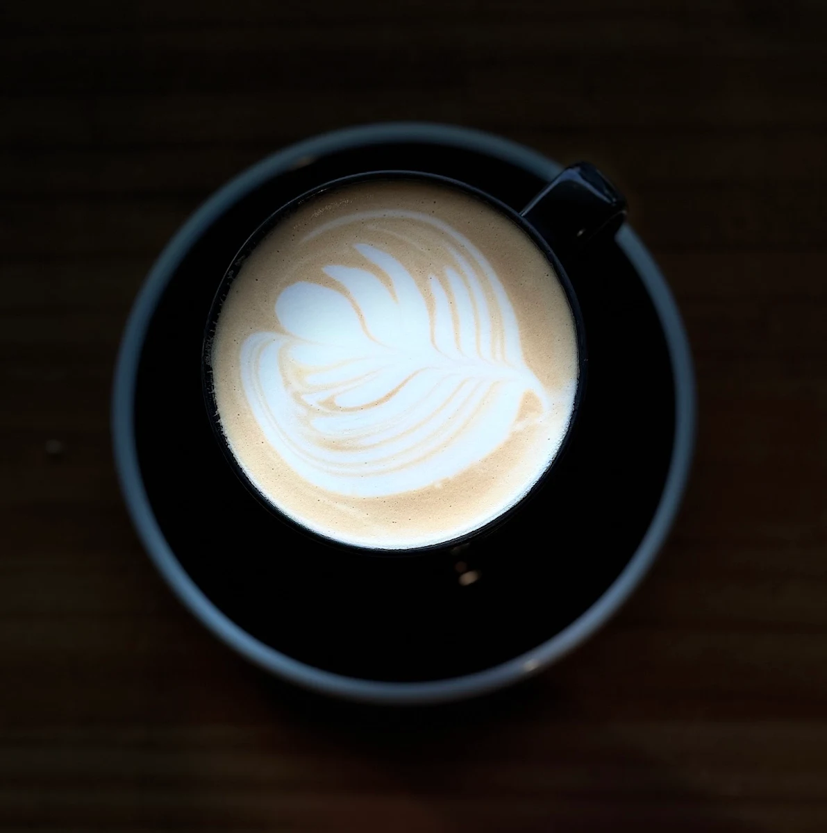 Flat White, Gloria Jean's Bundoora Polaris