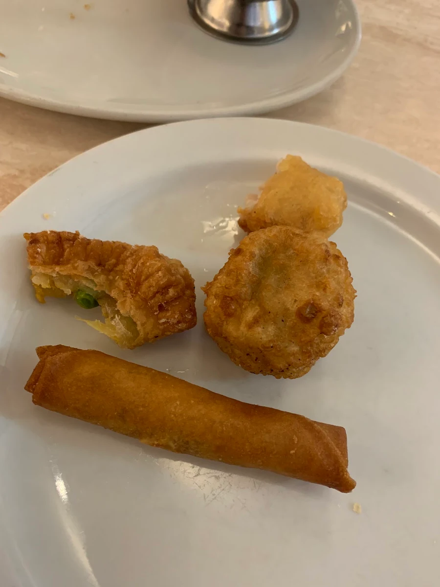 Curry Puffs and Spring Roll
