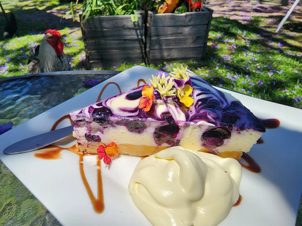 Highlights, Moorland Cottage Cafe - Best Scones On The Coast