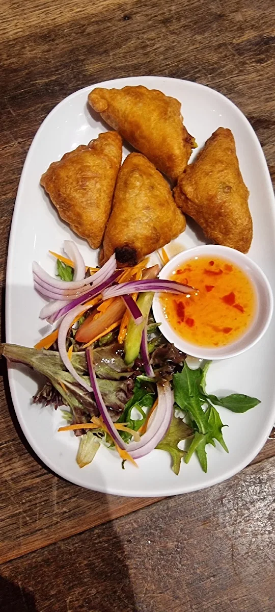 Spring Rolls, The Seed Thai