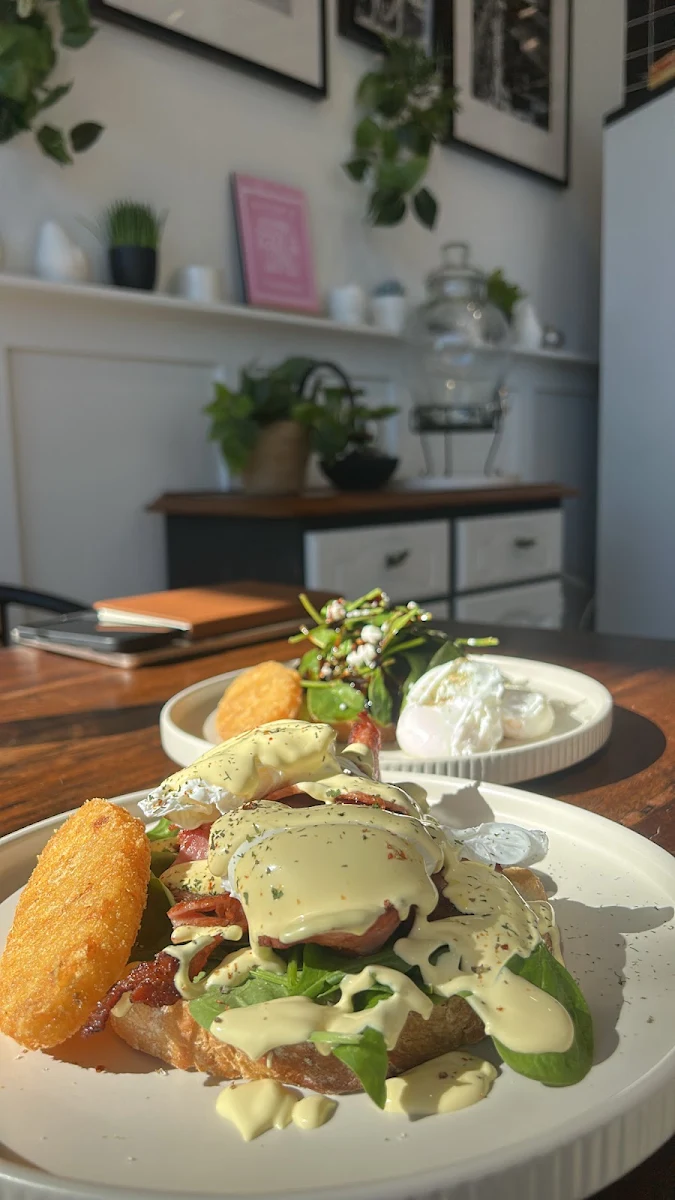 Highlights, My Junction Cafe