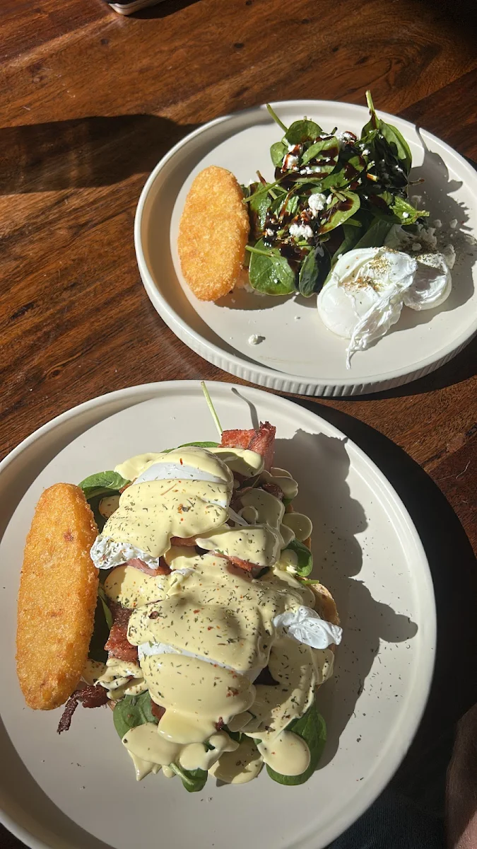 Highlights, My Junction Cafe