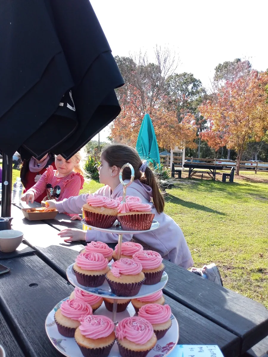 Home Made Cupcakes