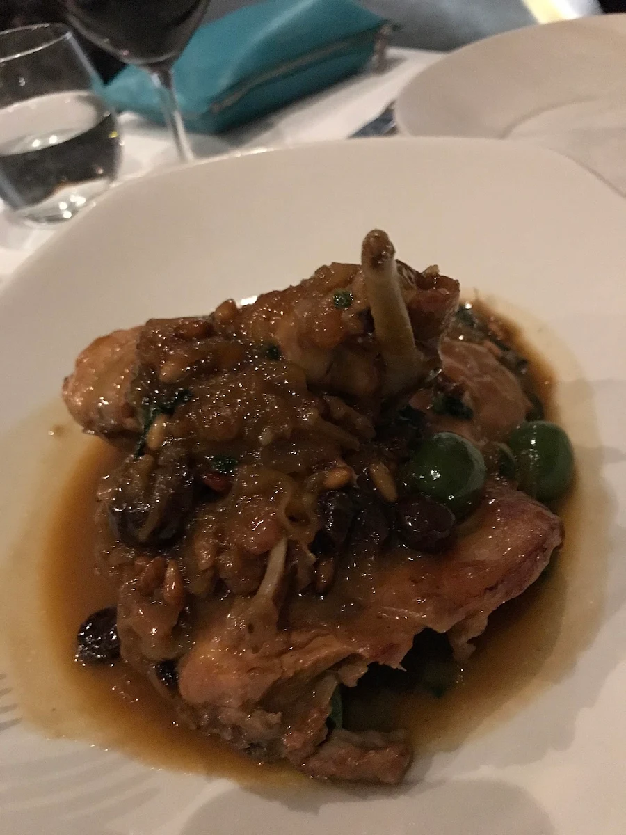 Rabbit