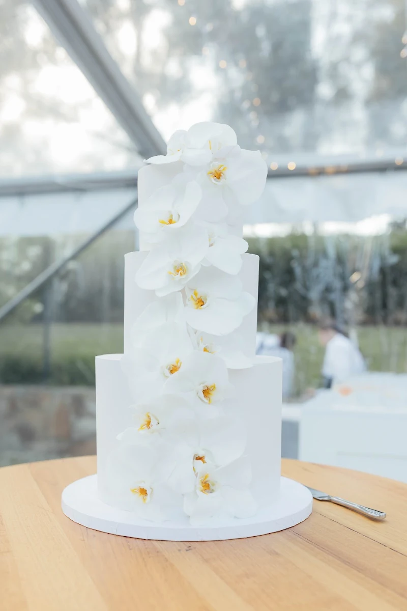 Highlights, The Cake Club.