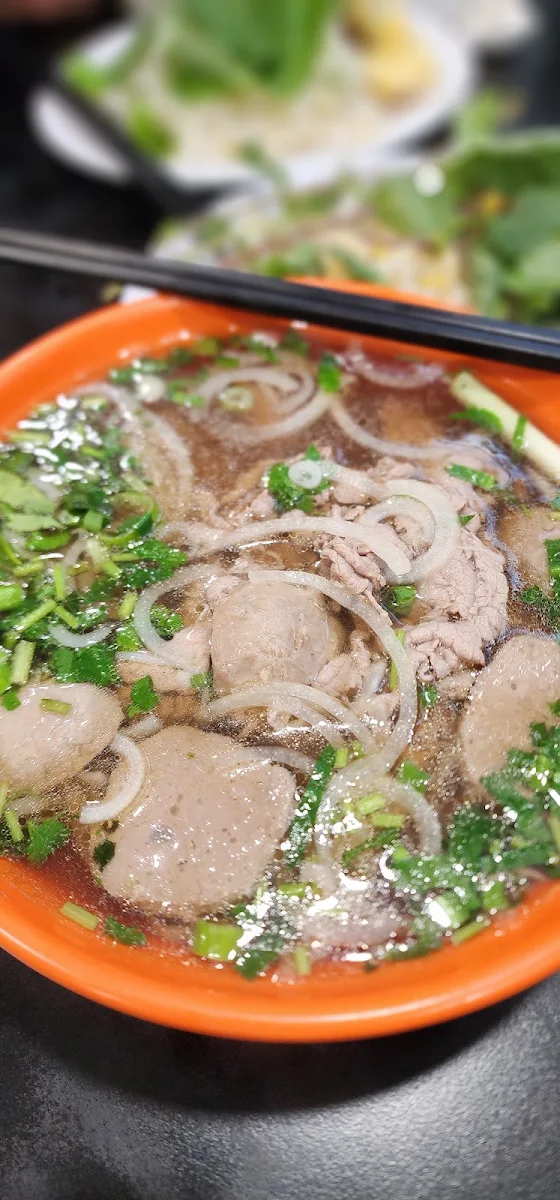 Highlights, Dong Xanh