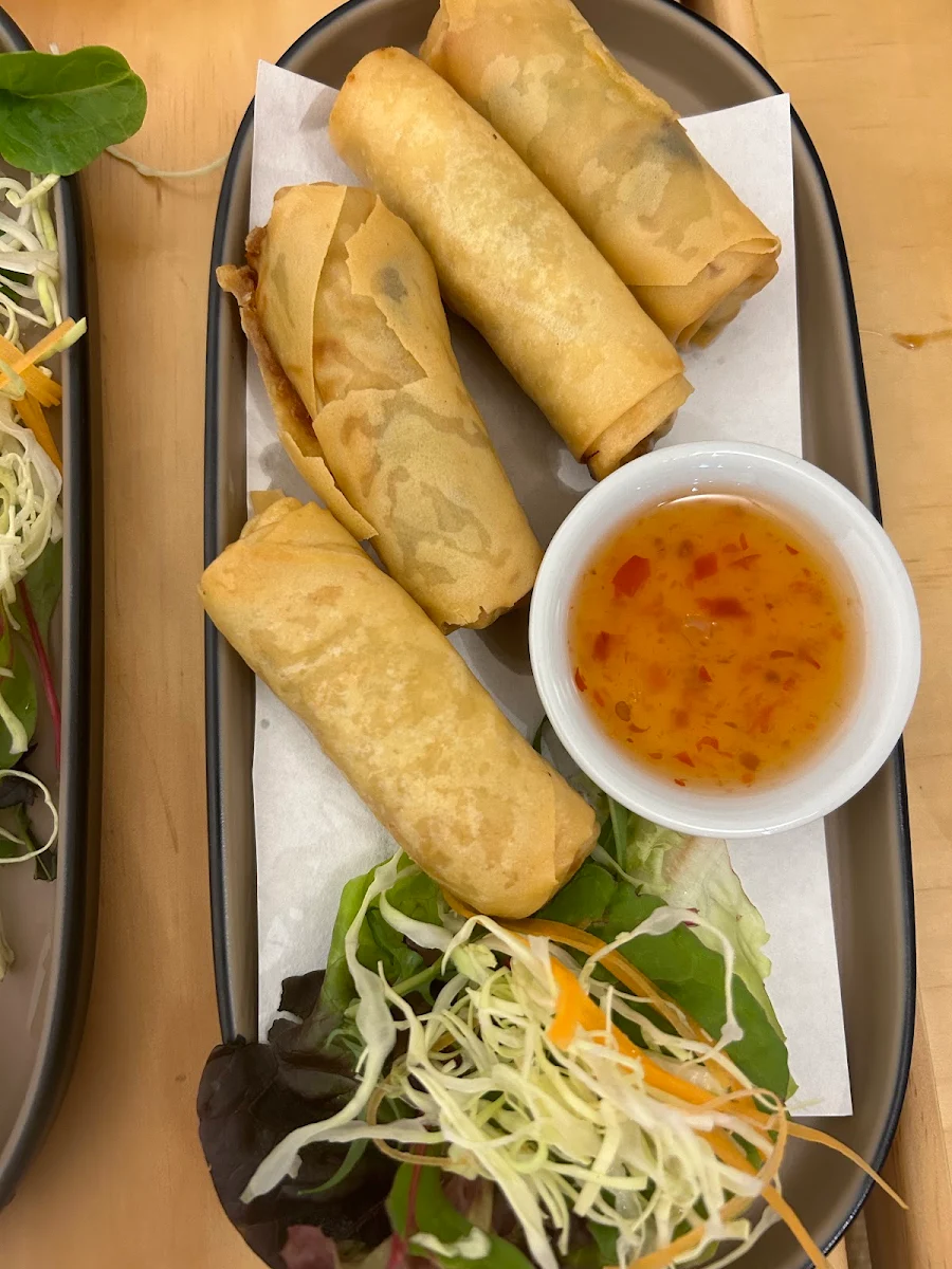 Spring Roll 4