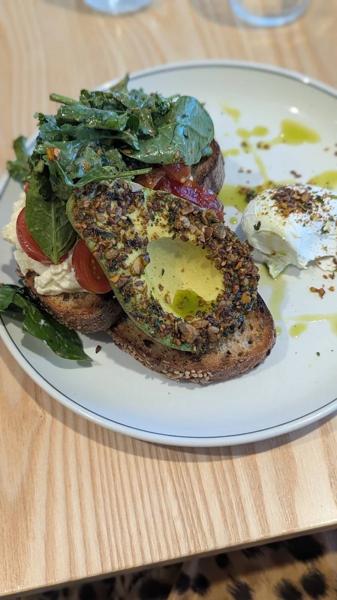 Highlights, Rustica Brighton