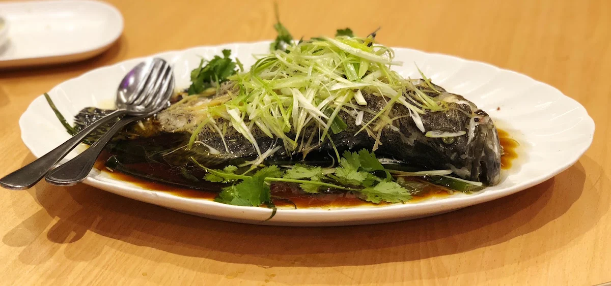 Steamed Fish, Northbridge Chinese Restaurant