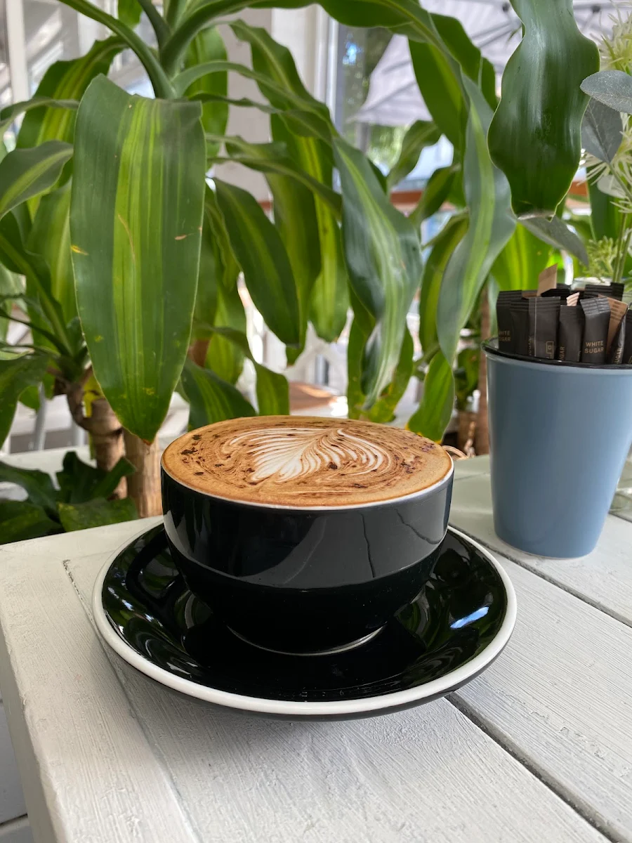 Cappuccino