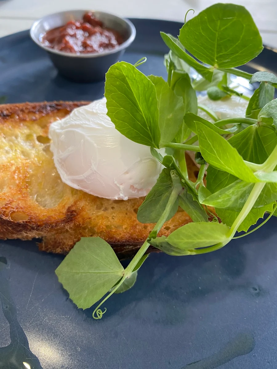 Poached Egg on Toast