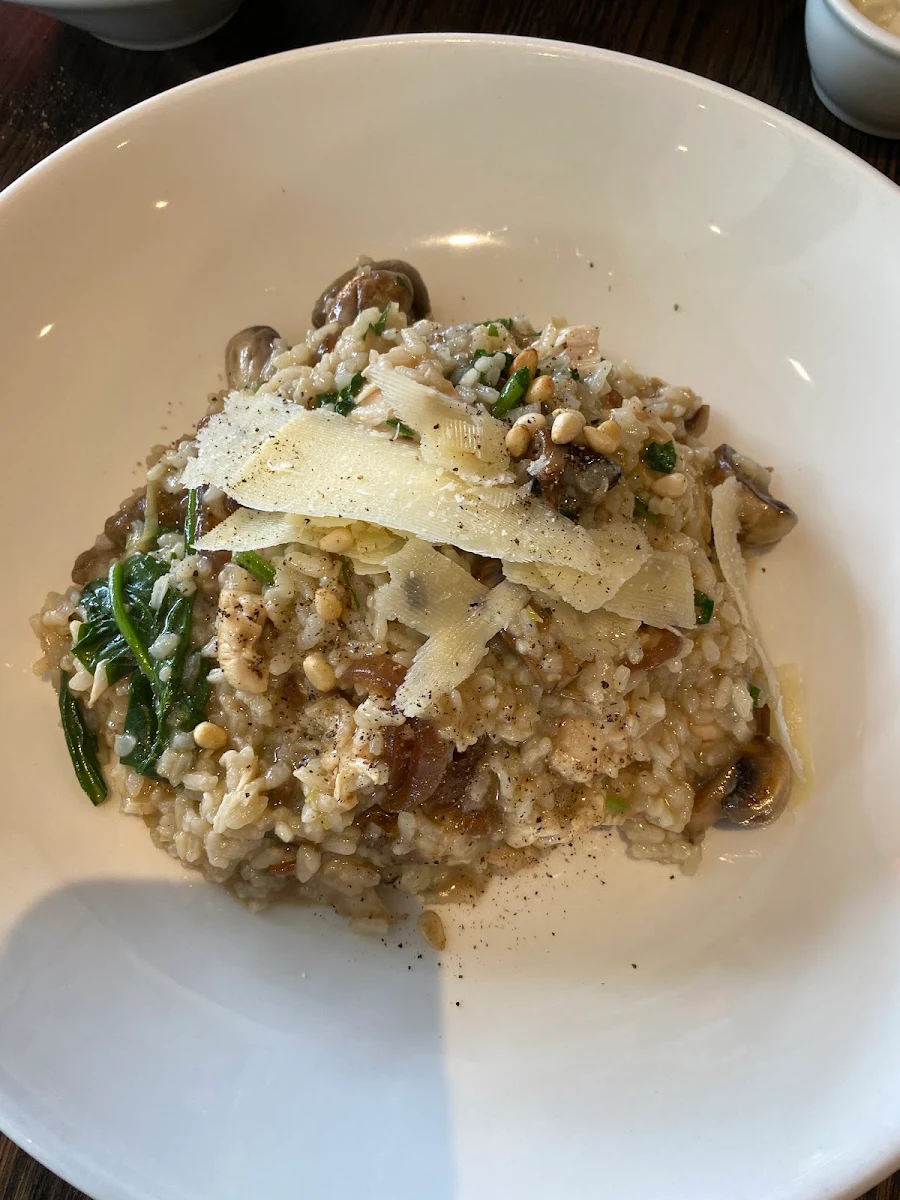 Wild Mushroom Risotto, Rocksalt Cafe & Restaurant