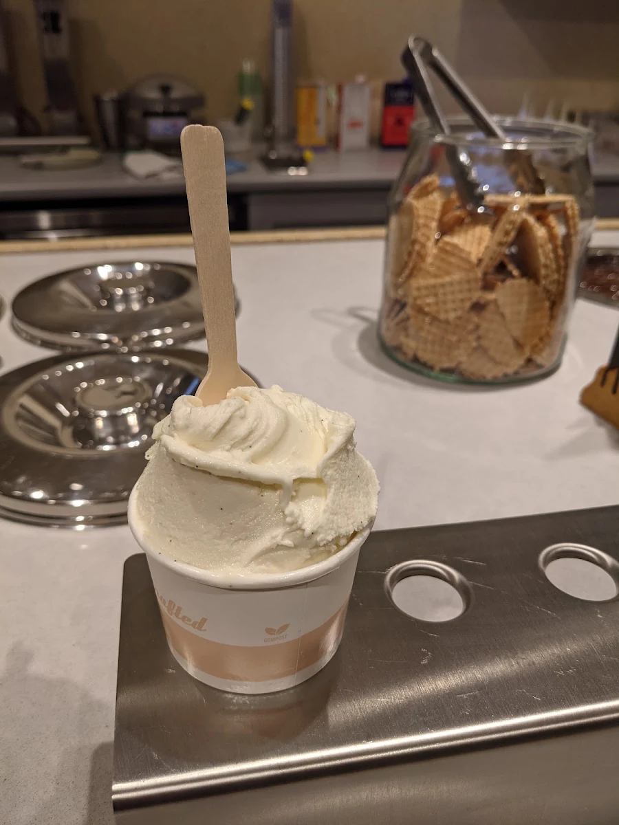 Vanilla Bean Ice Cream