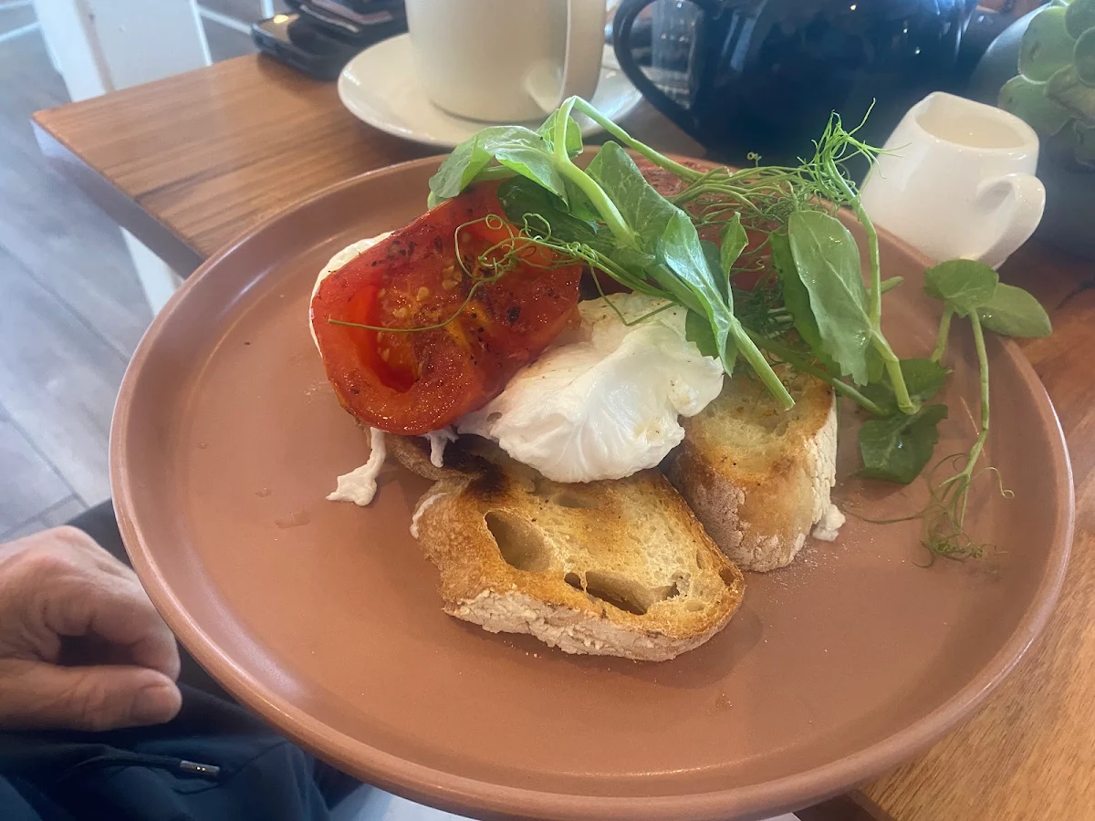 Poached Eggs and Toast