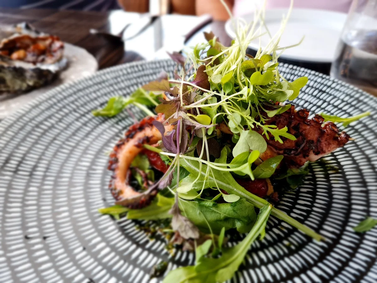 Grilled Octopus Entree