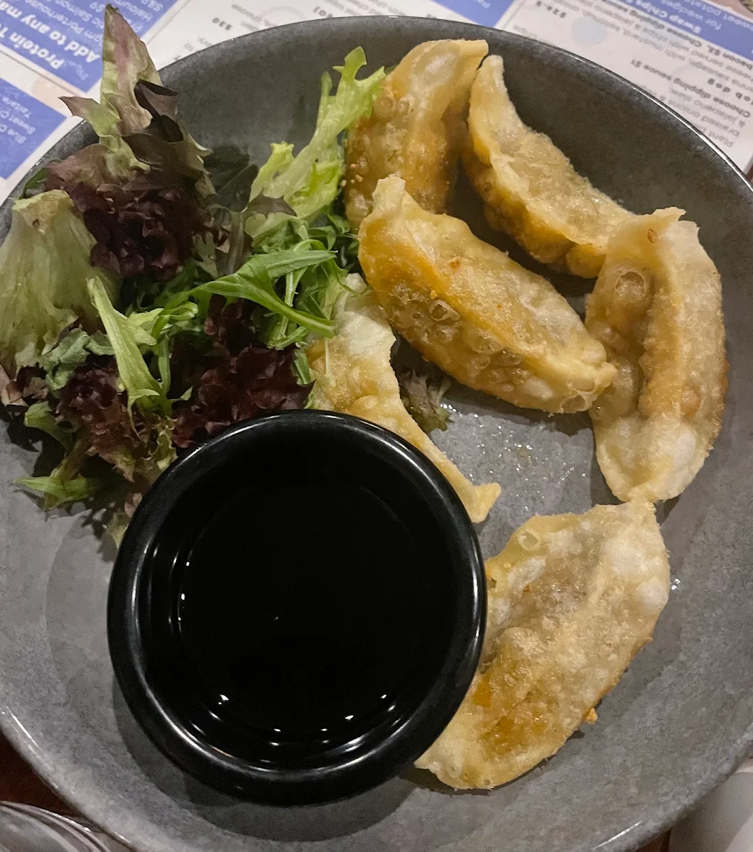 Fried Dumplings Ve