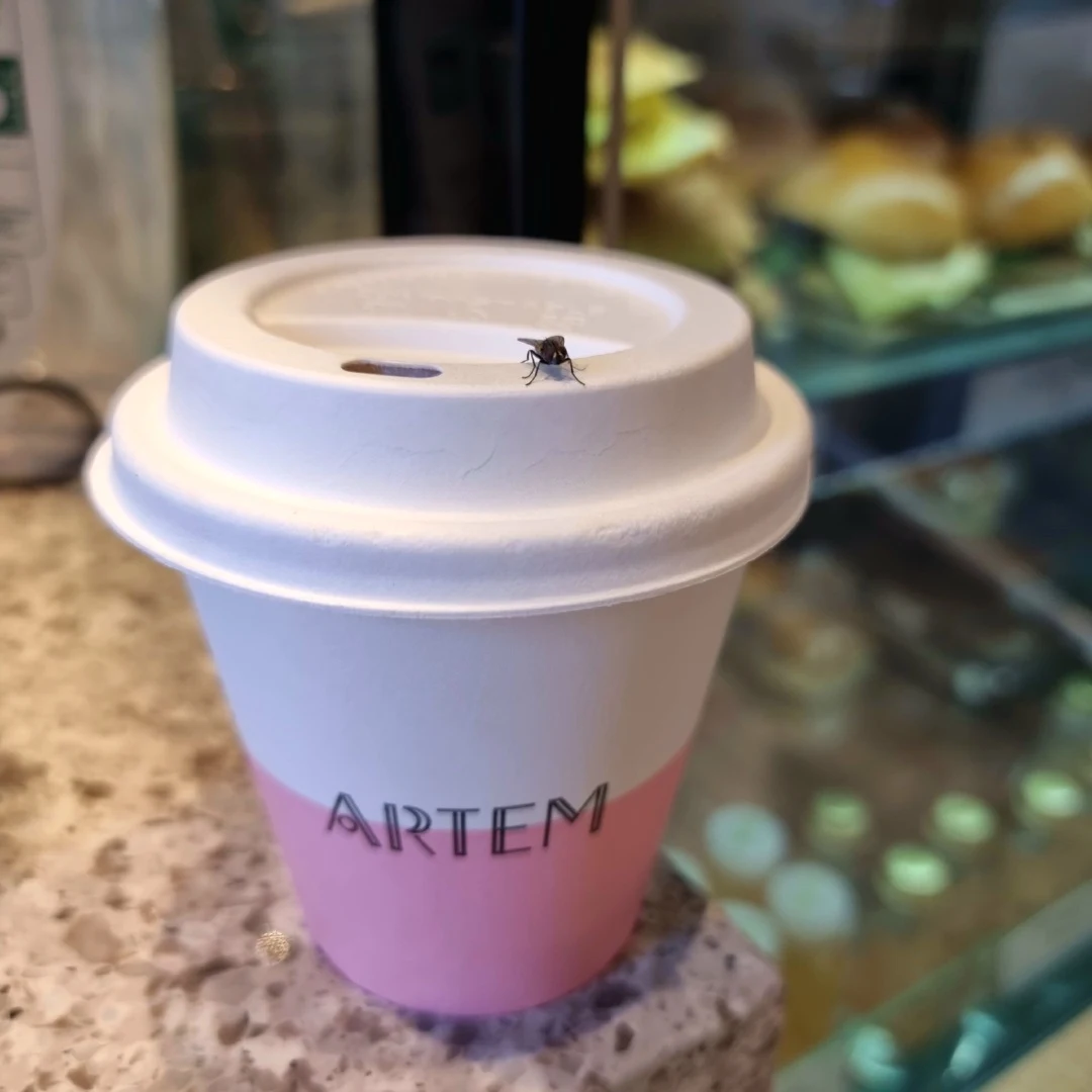 Coffee, Artem Coffee