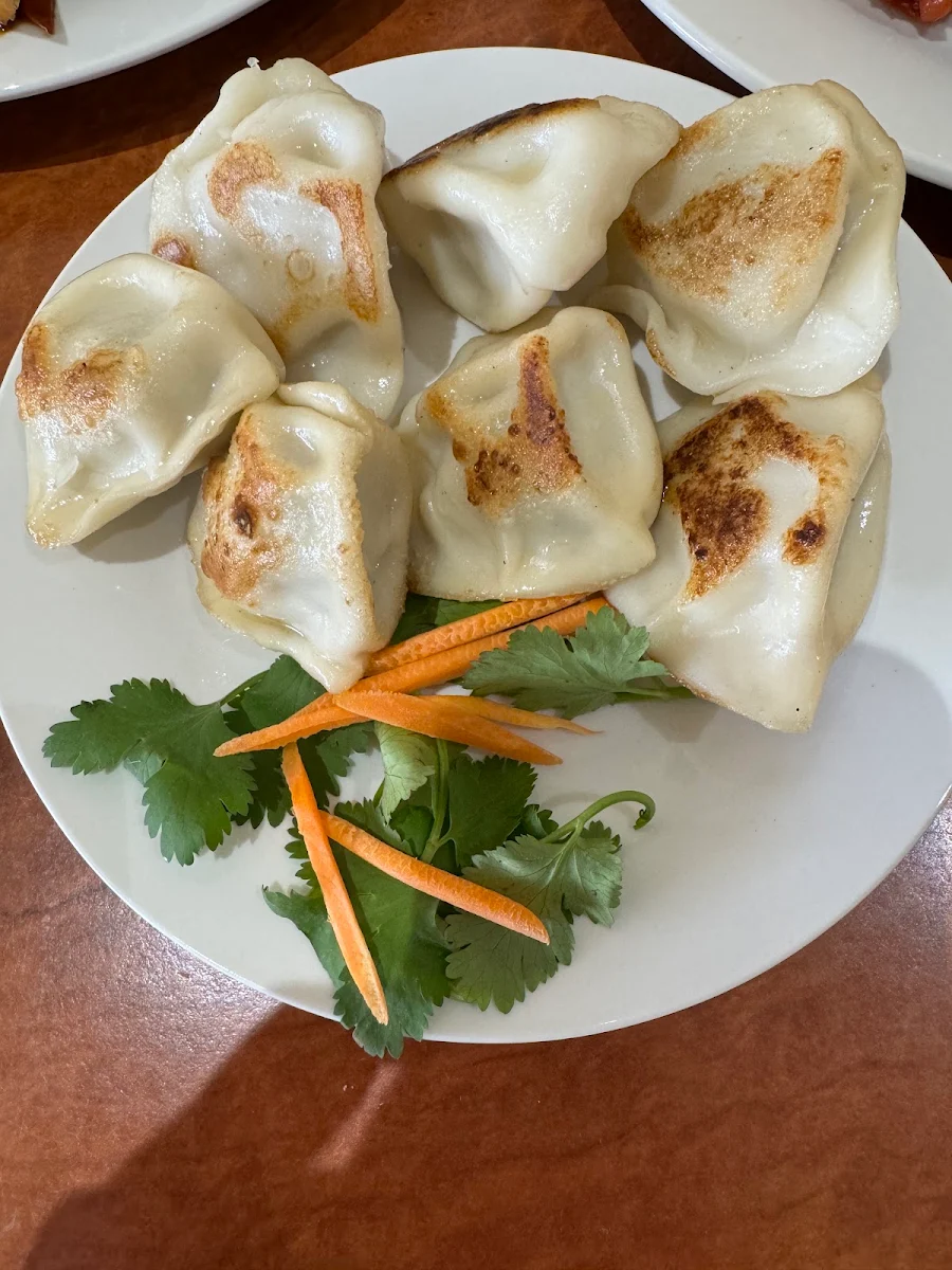 Dumpling, Henry's Asian Restaurant