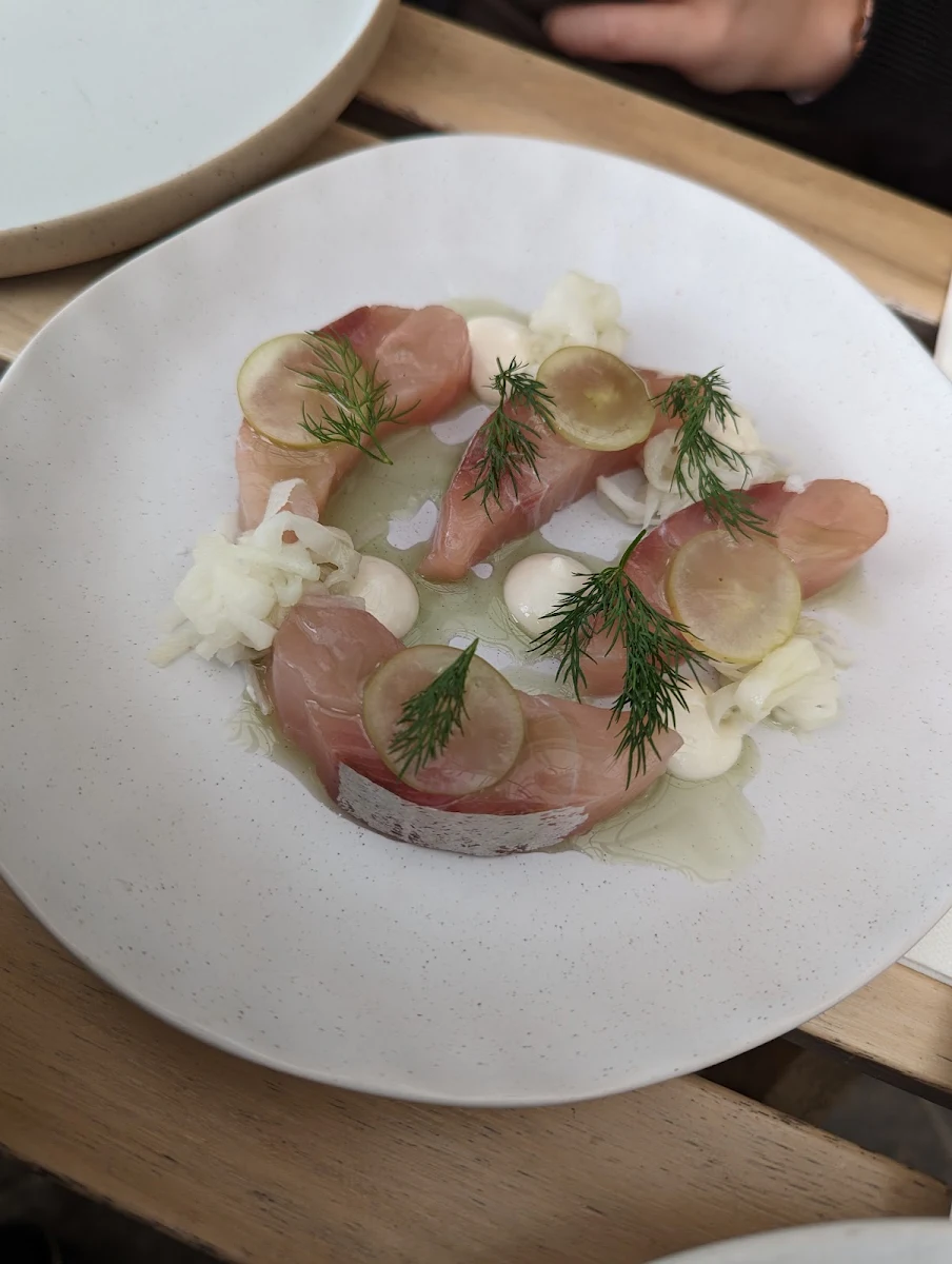 Amberjack, Lagoon Yallingup