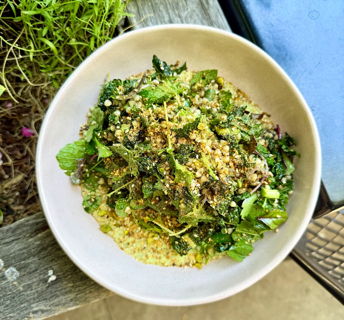 Kale, The Organik - Cafe - Store - Living