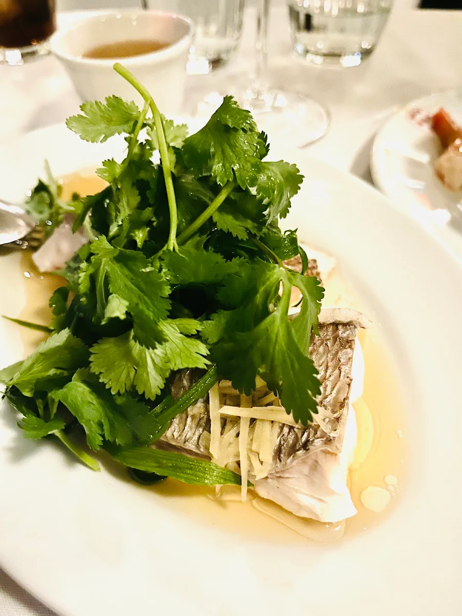 Snapper, Queen Chow Narooma