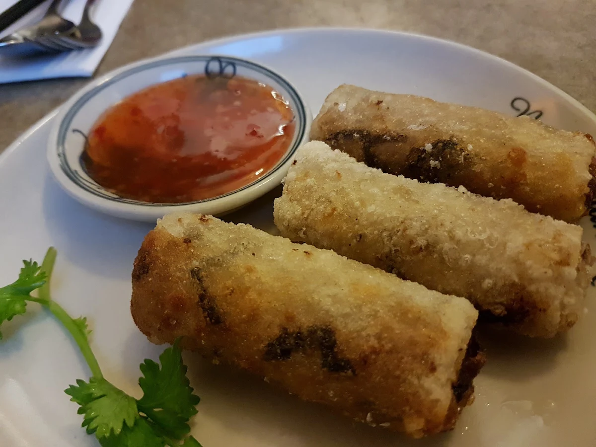 Vegetarian Spring Rolls