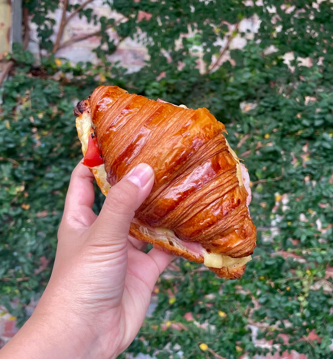 Ham and Cheese Croissant