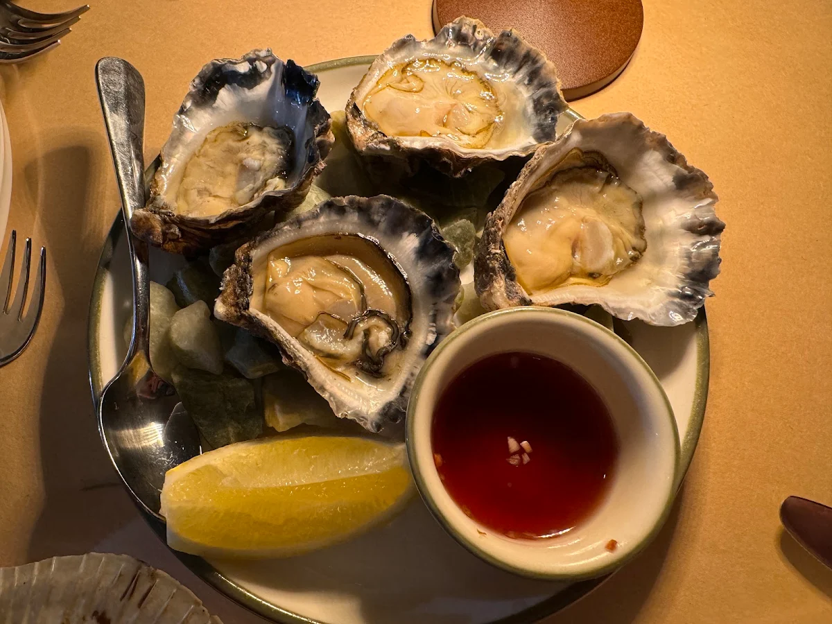Oysters