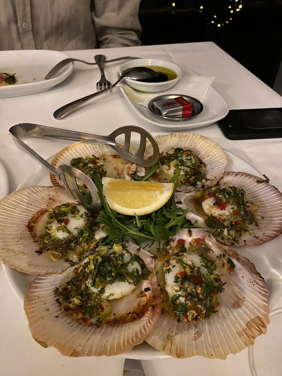 Scallops, Ecco Ristorante