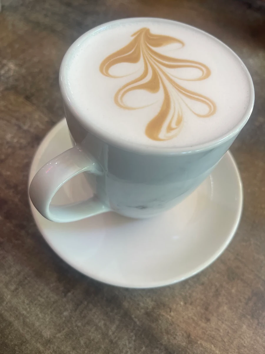 Highlights, Cafe Arabica