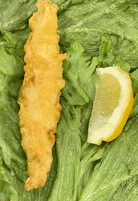 Highlights, The Fish Lab