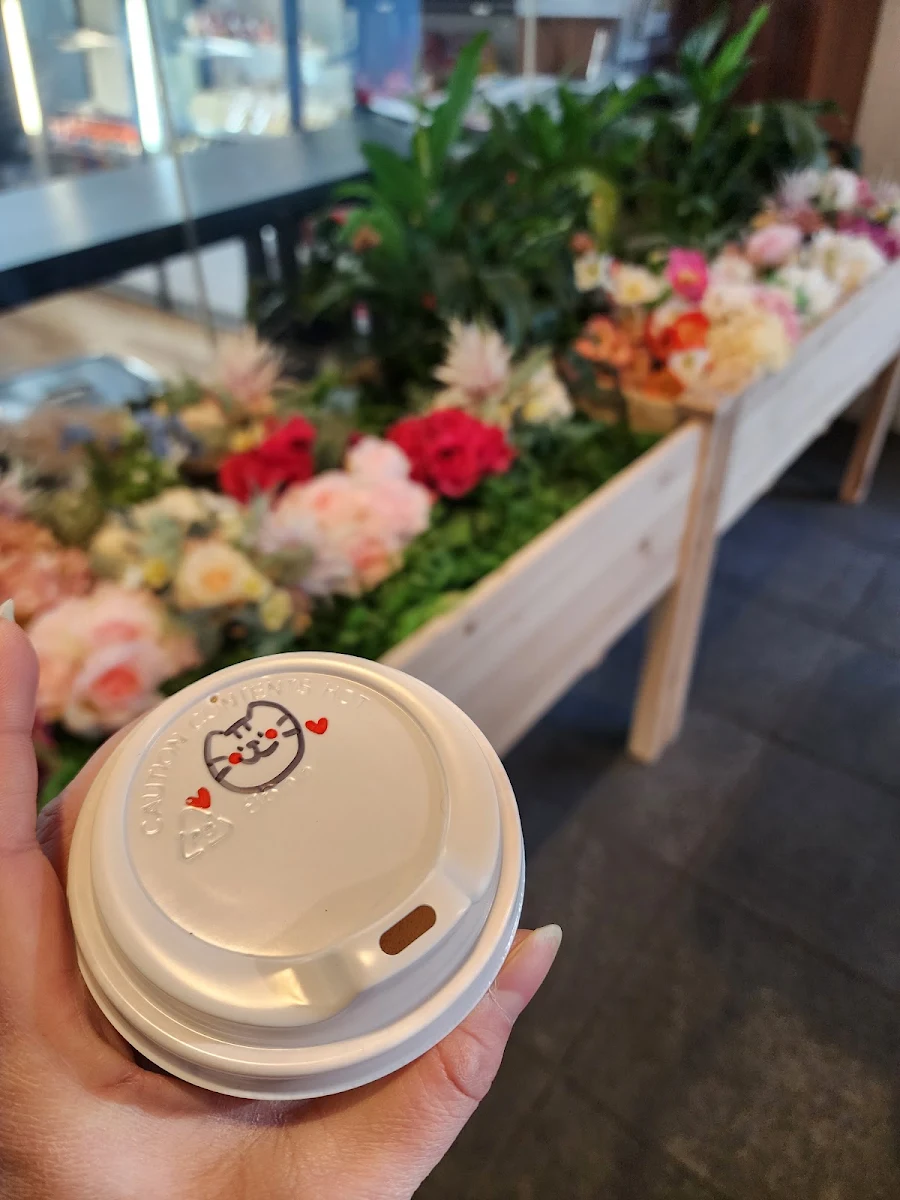 Highlights, Cafe 54