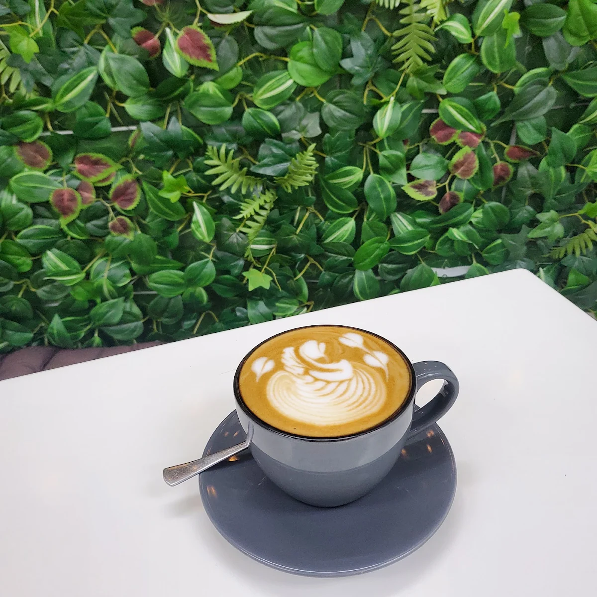 Highlights, Cafe 54