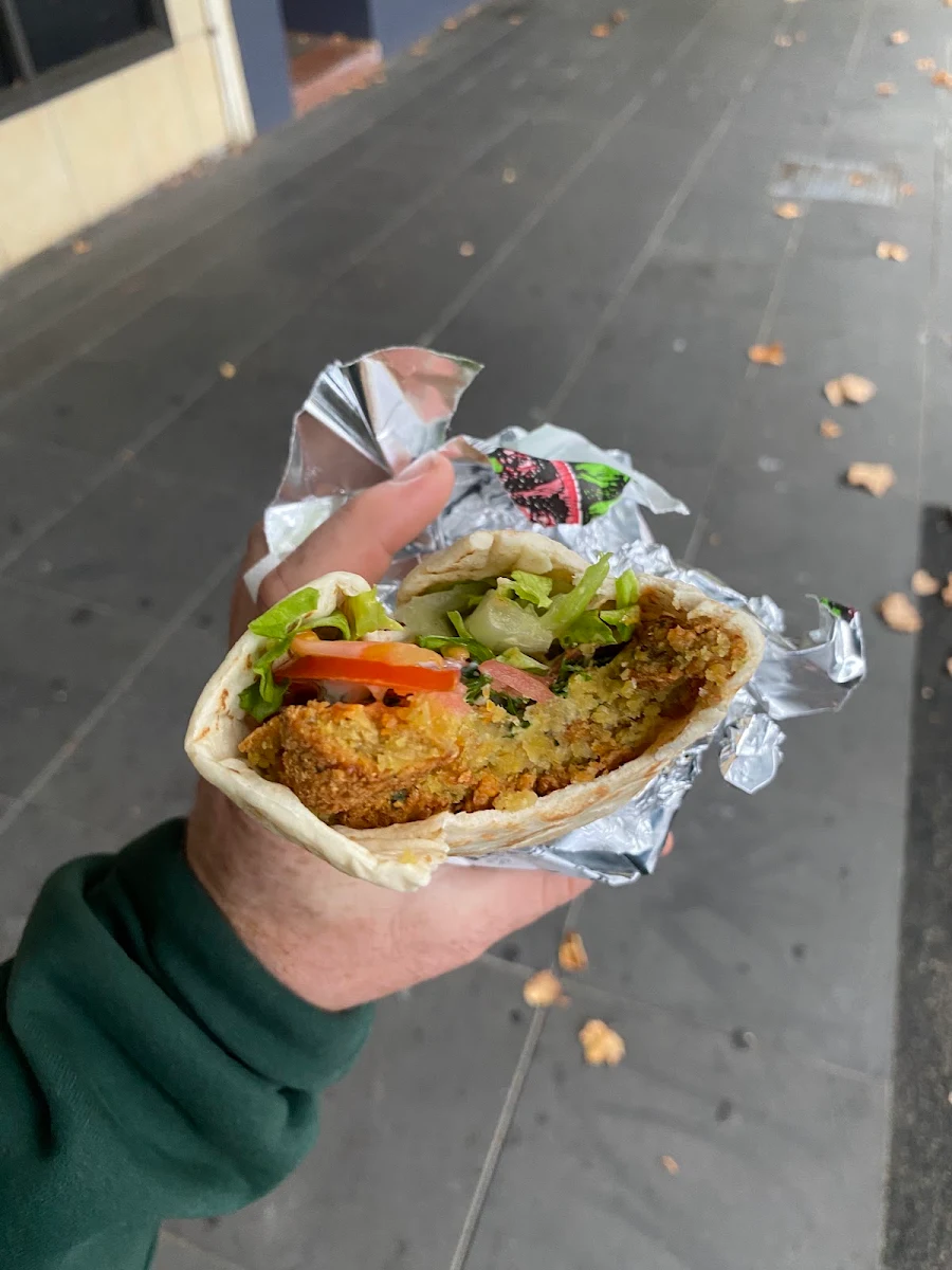 Falafel Kebab Regular