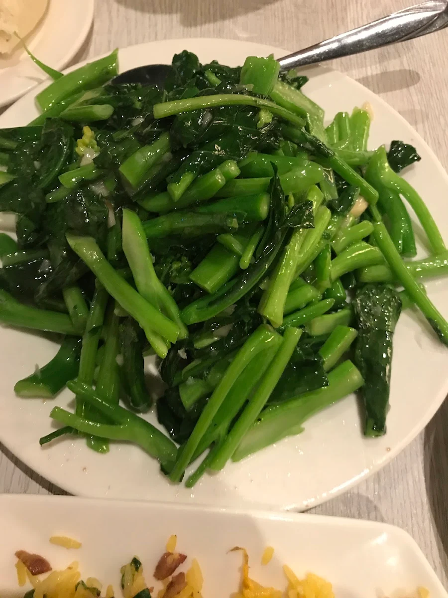 Chinese Broccoli in Oyster Sauce