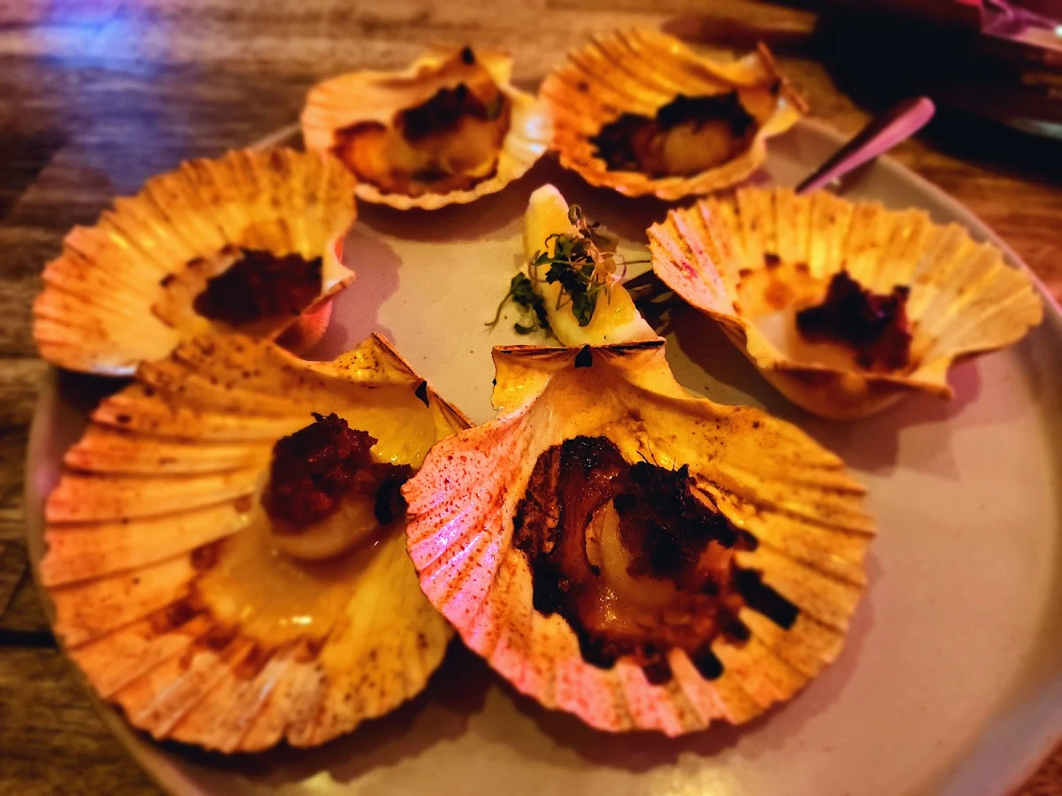 Scallops