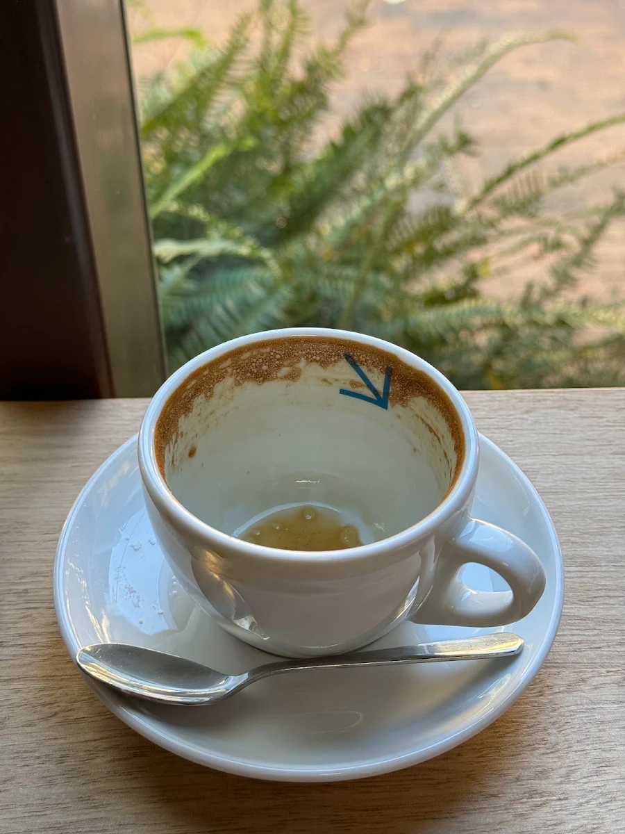 Highlights, Only Coffee Project Crows Nest