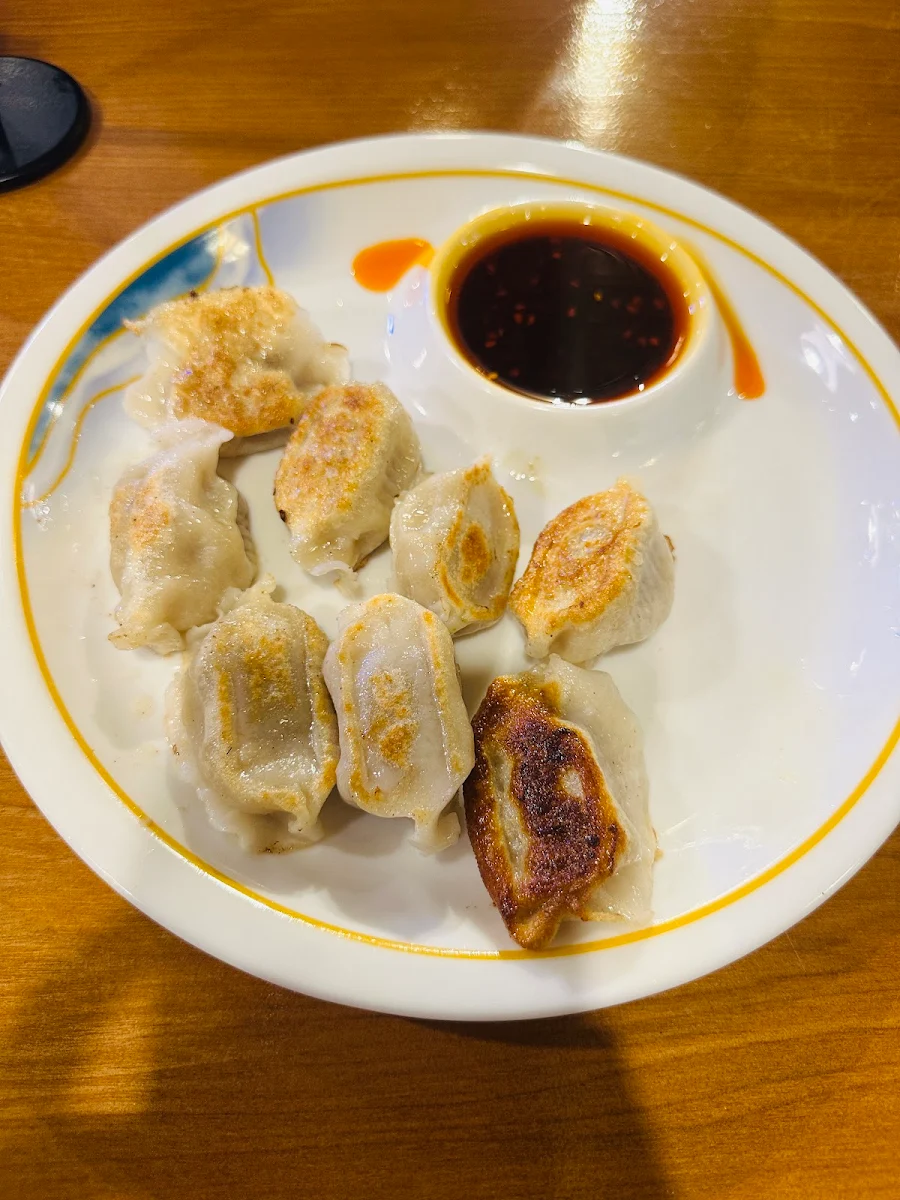 Pan Fired Dumpling, Halal Lanzhou Beef Noodle House