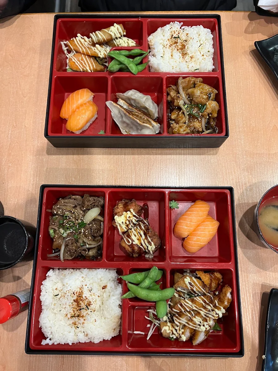 Bento Box C