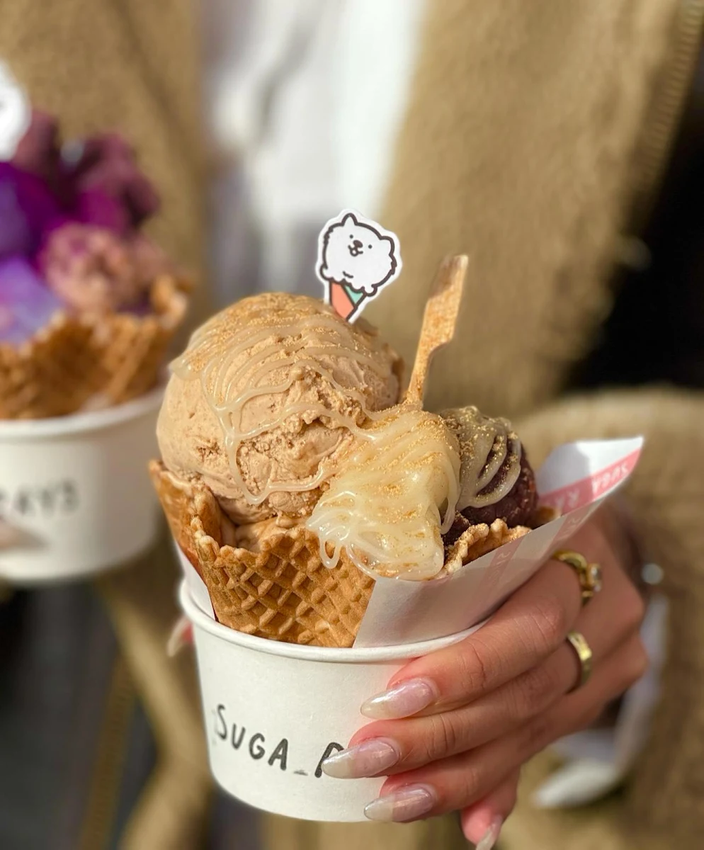 Highlights, Sugarays Plant-Based Gelato