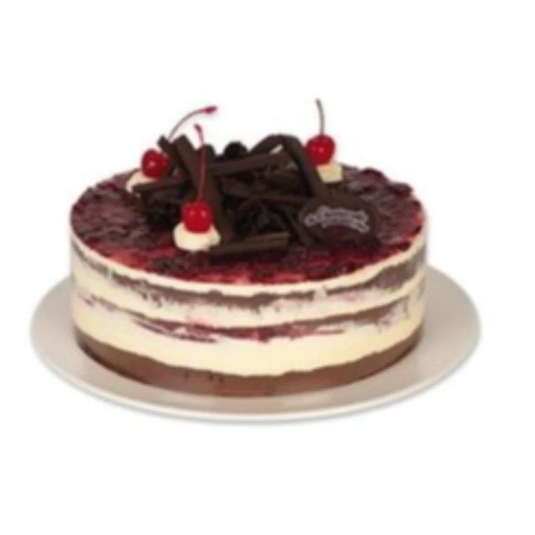Highlights, The Cheesecake Shop Mount Waverley